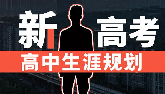 山东大学综评招生人数